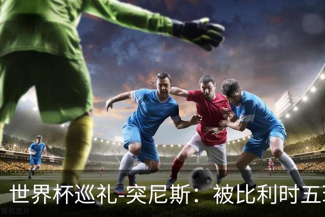 世界杯巡礼-突尼斯：被比利时五球“羞辱”，迦太基之鹰前途难测